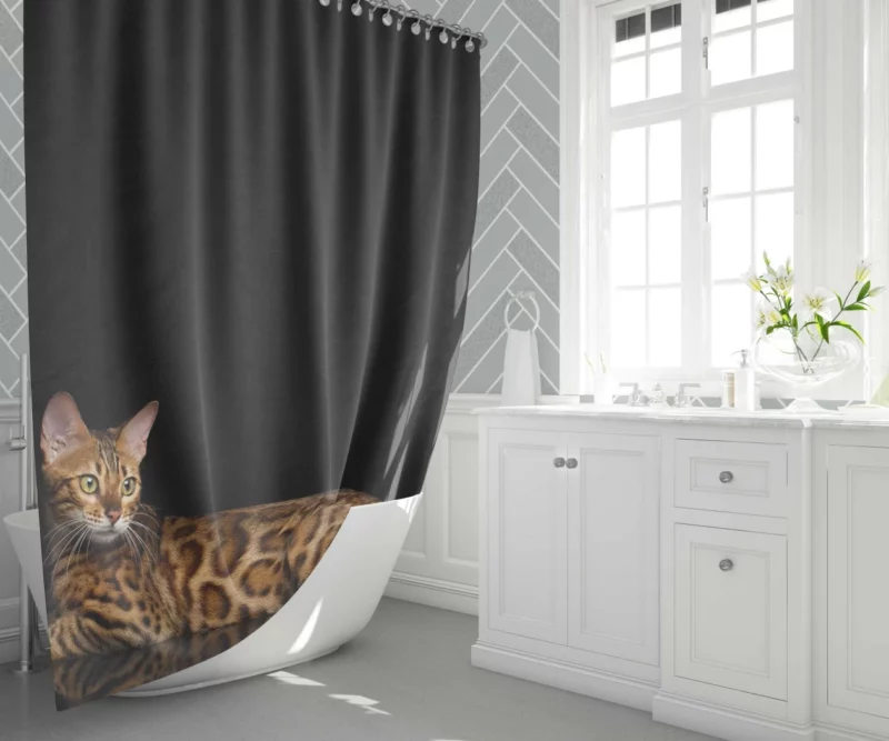 Bengal Cat Reflective Gaze Mysterious Charm Shower Curtain 1