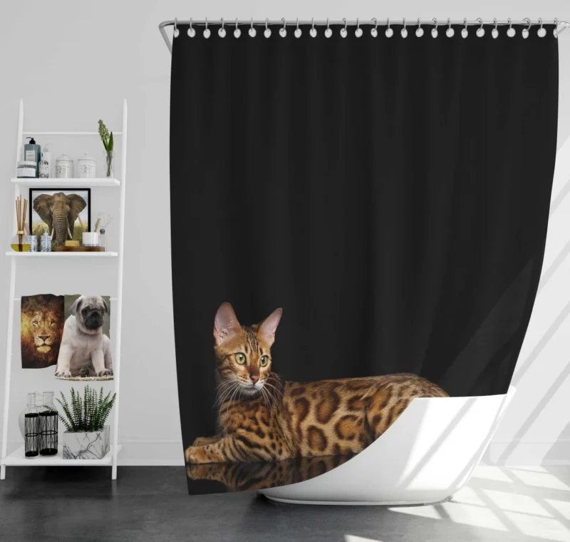 Bengal Cat Reflective Gaze Mysterious Charm Shower Curtain