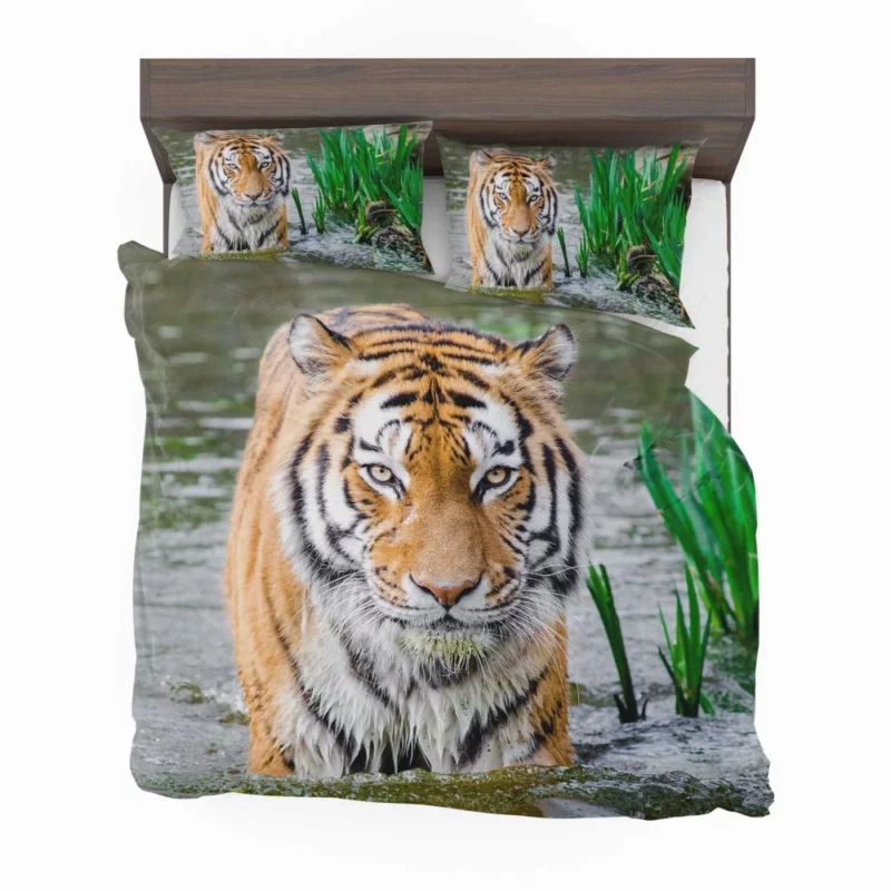 Bengal Tiger Stripes of the Jungle Bedding Set 1