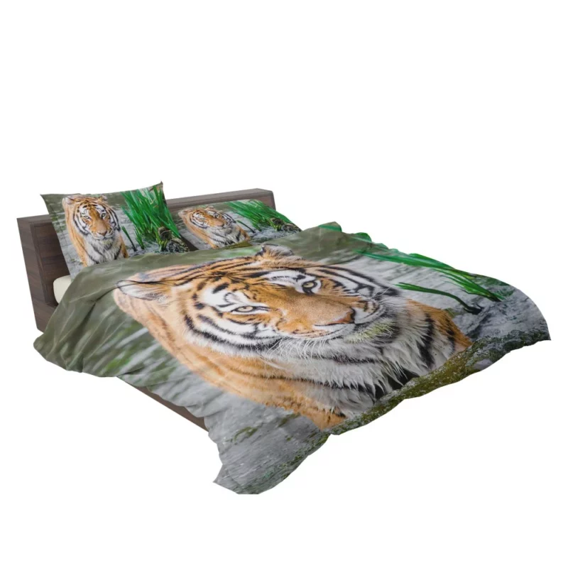 Bengal Tiger Stripes of the Jungle Bedding Set 2