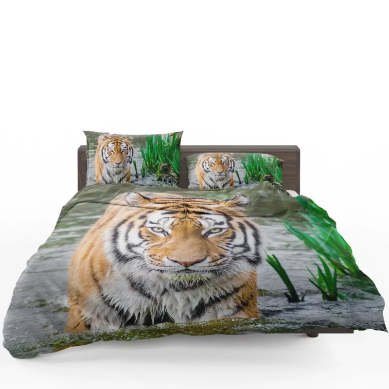 Bengal Tiger Stripes of the Jungle Bedding Set