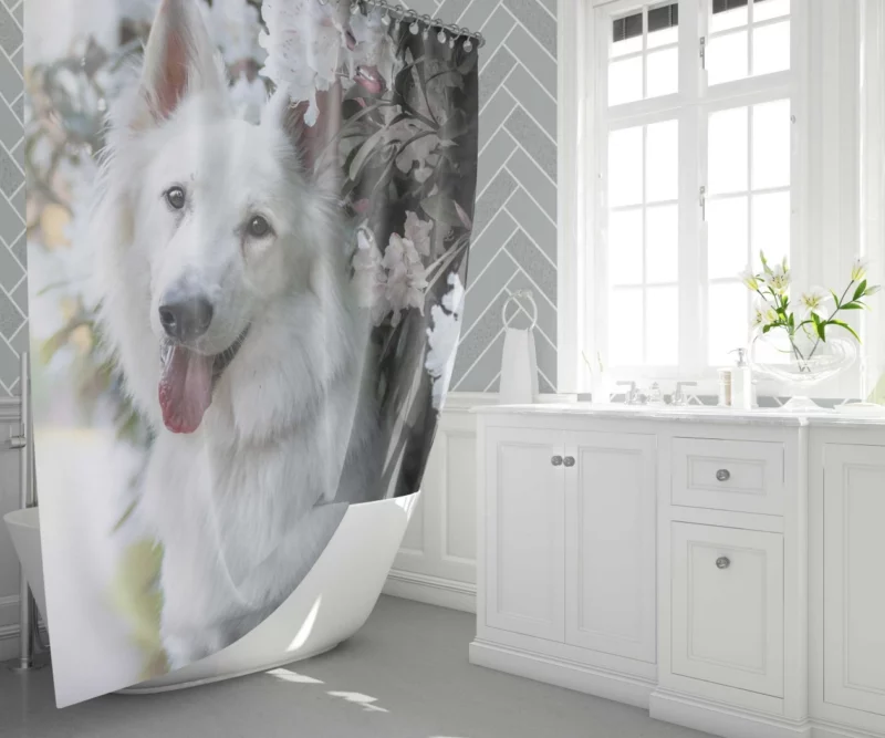 Berger Blanc Suisse in Depth Shower Curtain 1