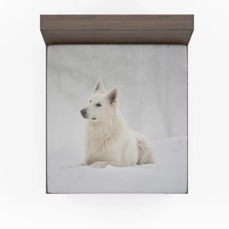 Berger Blanc Suisse in Snowfall Grace Fitted Sheet 1