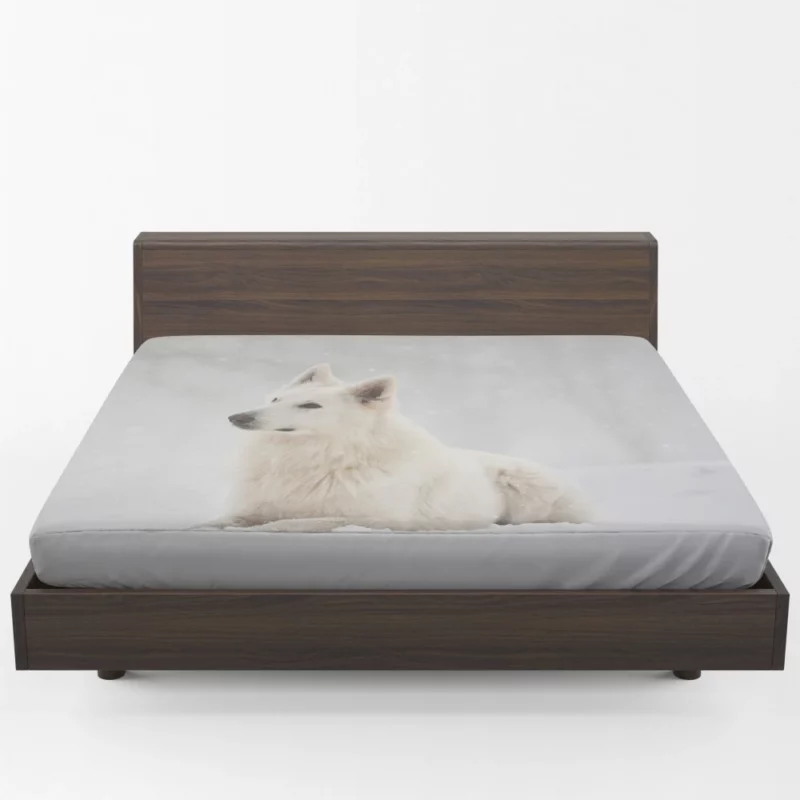 Berger Blanc Suisse in Snowfall Grace Fitted Sheet