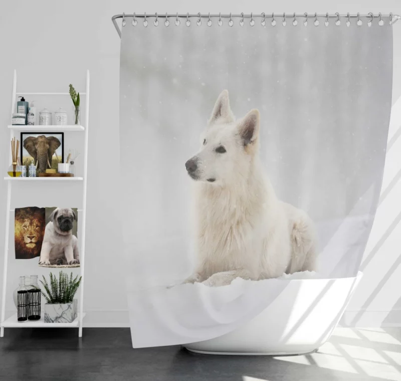 Berger Blanc Suisse in Snowfall Grace Shower Curtain