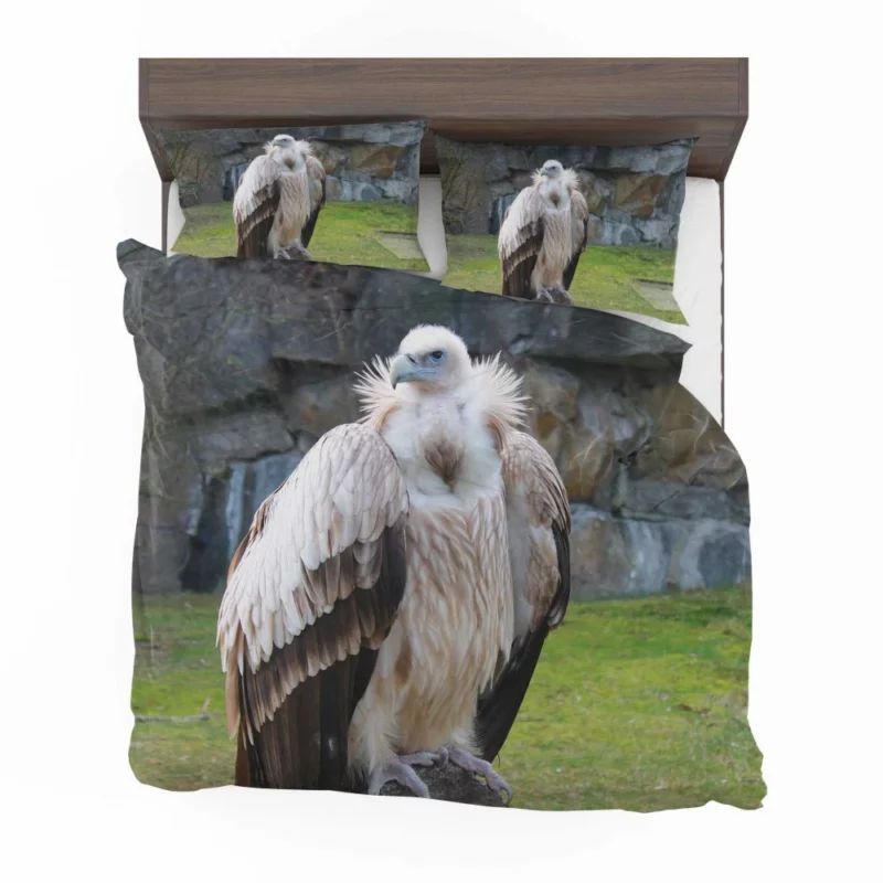 Berlin Zoo Vulture Captive Elegance Bedding Set 1