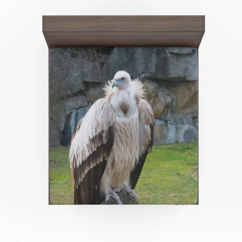 Berlin Zoo Vulture Captive Elegance Fitted Sheet 1