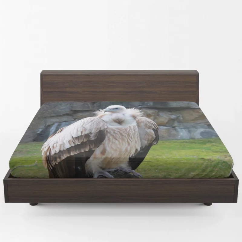 Berlin Zoo Vulture Captive Elegance Fitted Sheet