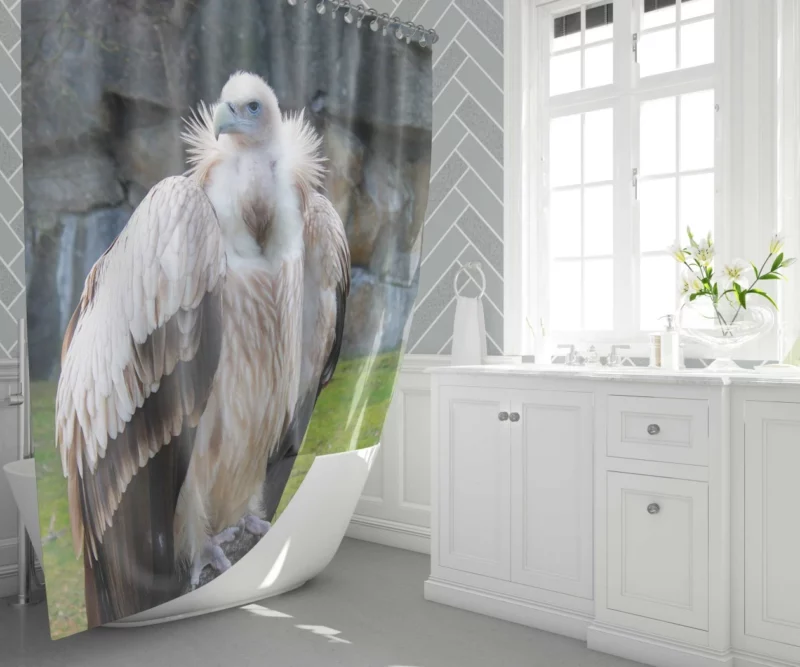 Berlin Zoo Vulture Captive Elegance Shower Curtain 1