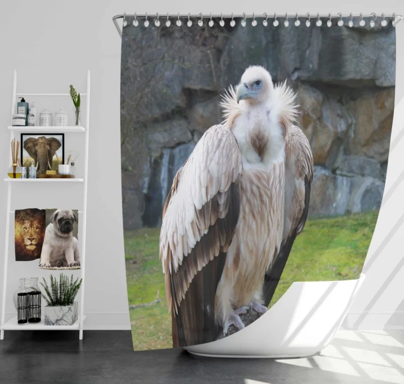 Berlin Zoo Vulture Captive Elegance Shower Curtain