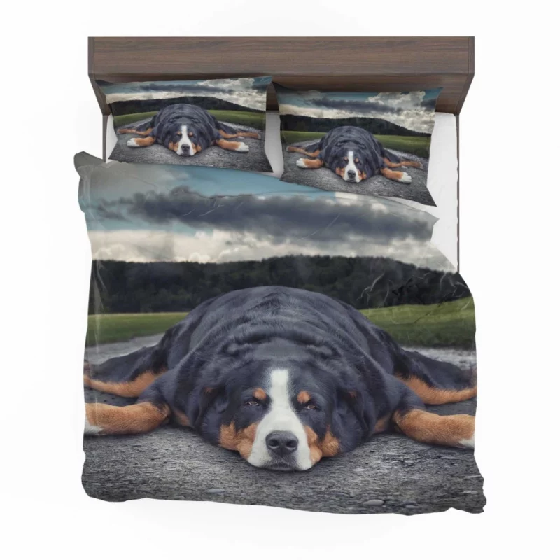 Bernese Mountain Dog Bathtub Bliss Bedding Set 1