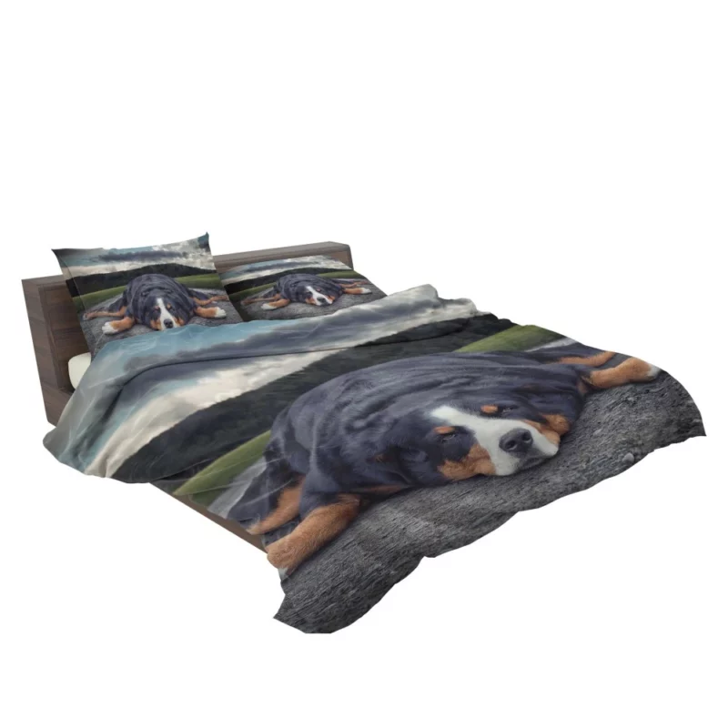 Bernese Mountain Dog Bathtub Bliss Bedding Set 2