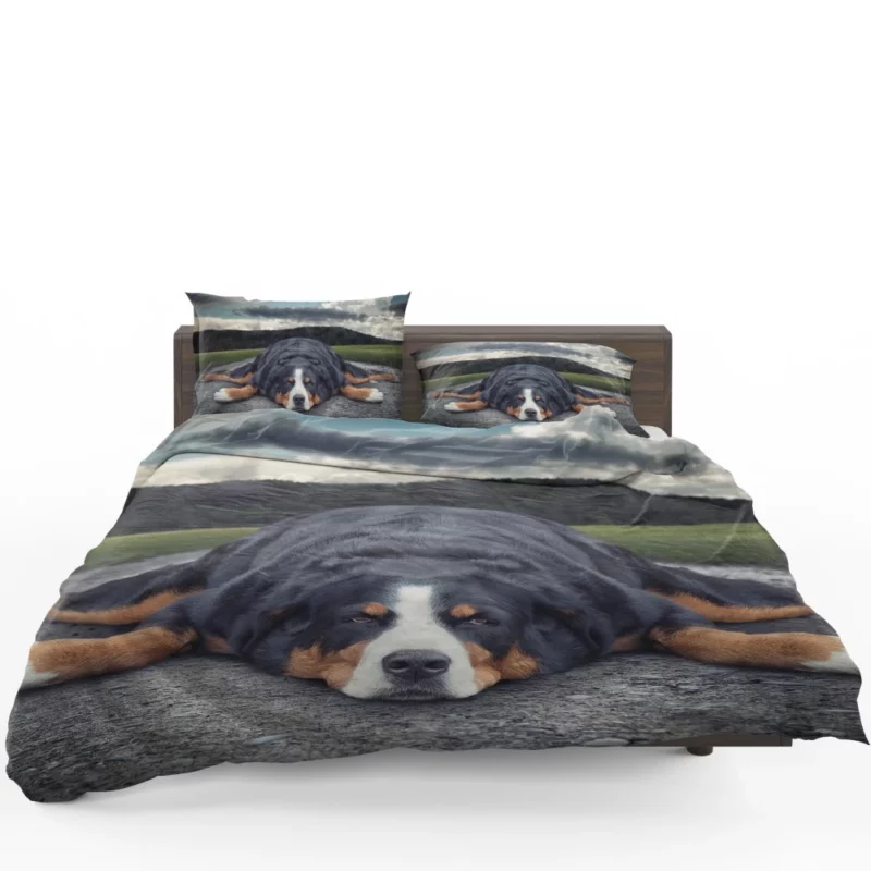 Bernese Mountain Dog Bathtub Bliss Bedding Set