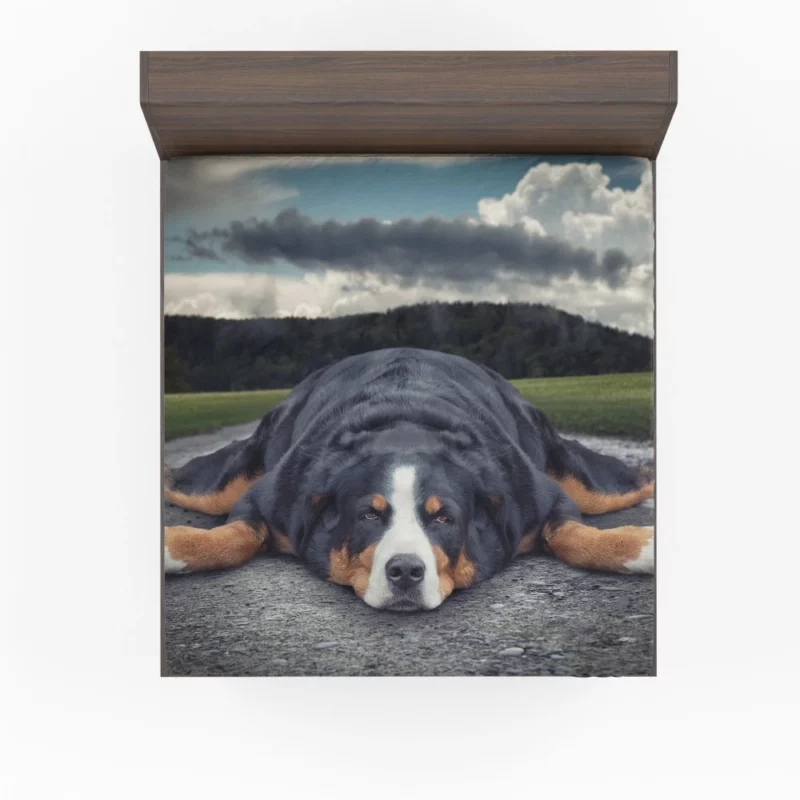 Bernese Mountain Dog Bathtub Bliss Fitted Sheet 1