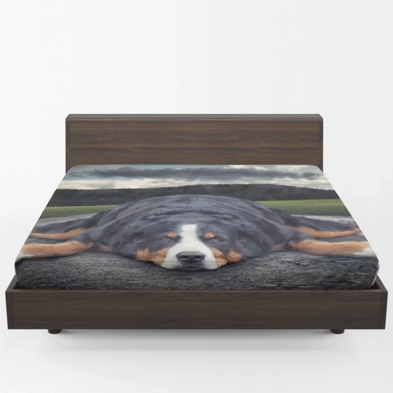 Bernese Mountain Dog Bathtub Bliss Fitted Sheet