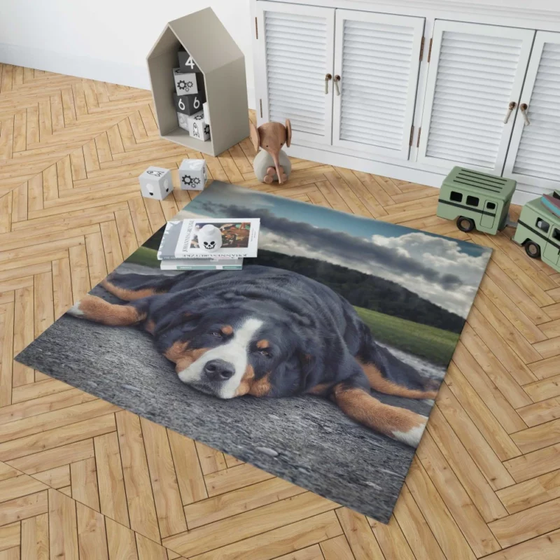 Bernese Mountain Dog Bathtub Bliss Rug 1