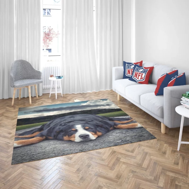 Bernese Mountain Dog Bathtub Bliss Rug 2