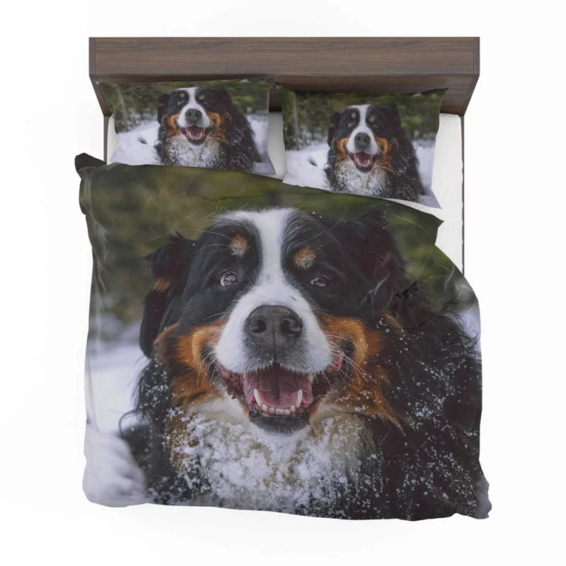 Bernese Mountain Dog Furry Elegance Bedding Set 1