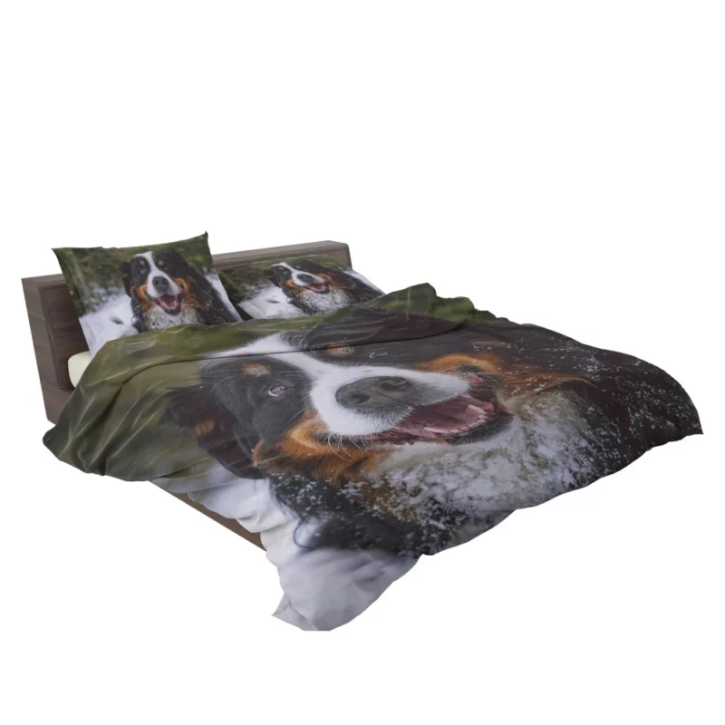 Bernese Mountain Dog Furry Elegance Bedding Set 2