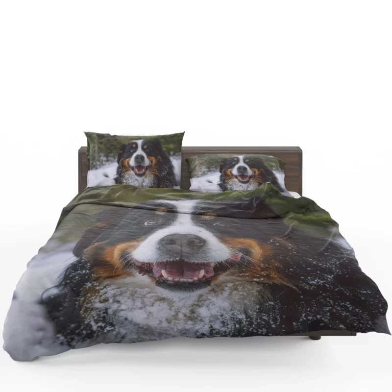 Bernese Mountain Dog Furry Elegance Bedding Set