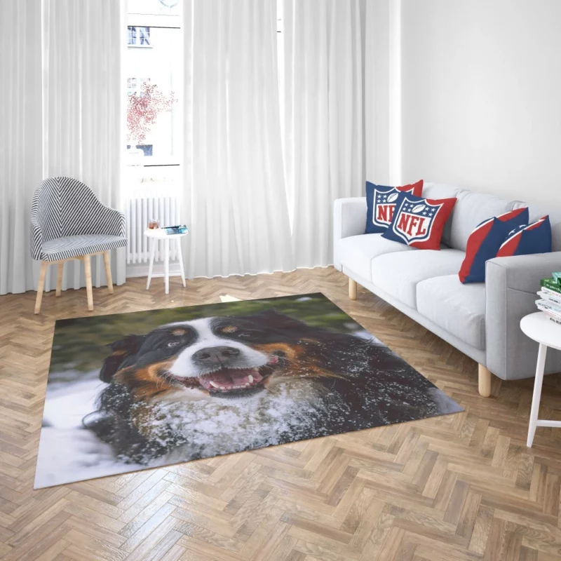 Bernese Mountain Dog Furry Elegance Rug 2