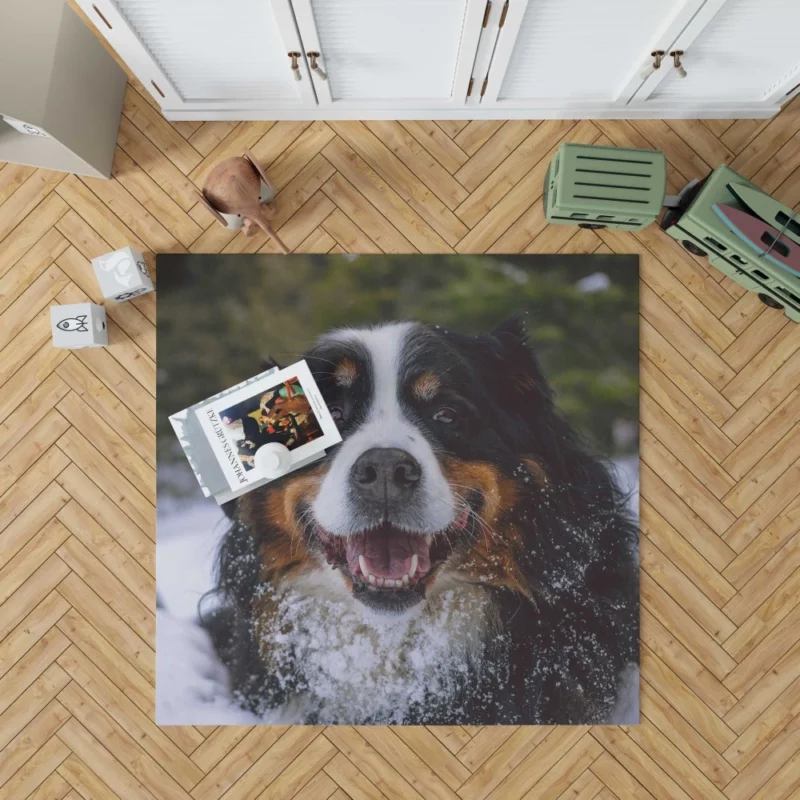 Bernese Mountain Dog Furry Elegance Rug