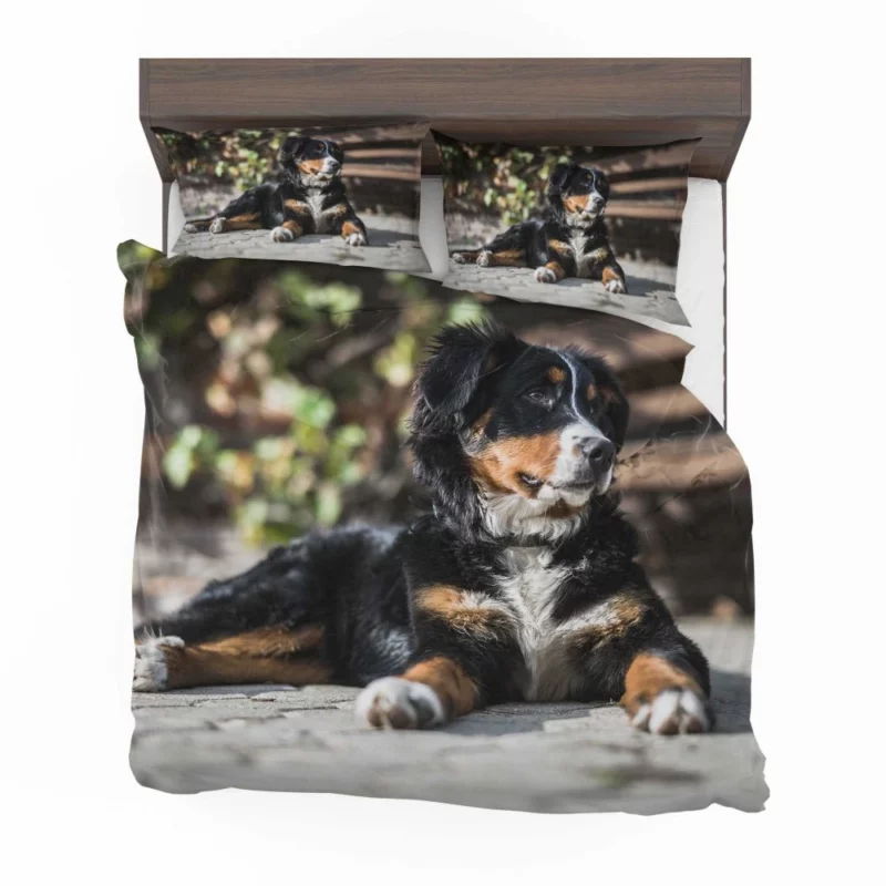 Bernese Mountain Dog Furry Joy Bedding Set 1