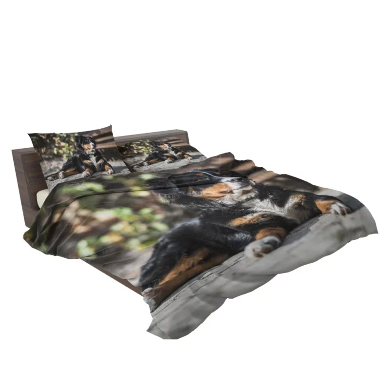 Bernese Mountain Dog Furry Joy Bedding Set 2