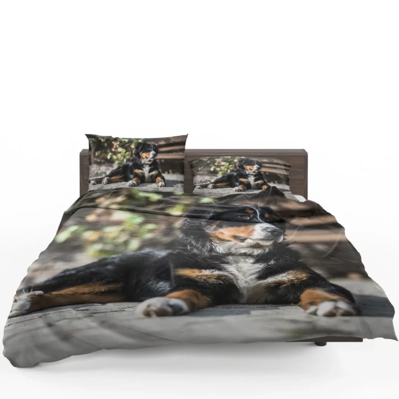 Bernese Mountain Dog Furry Joy Bedding Set