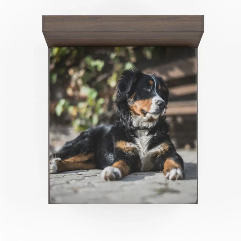 Bernese Mountain Dog Furry Joy Fitted Sheet 1