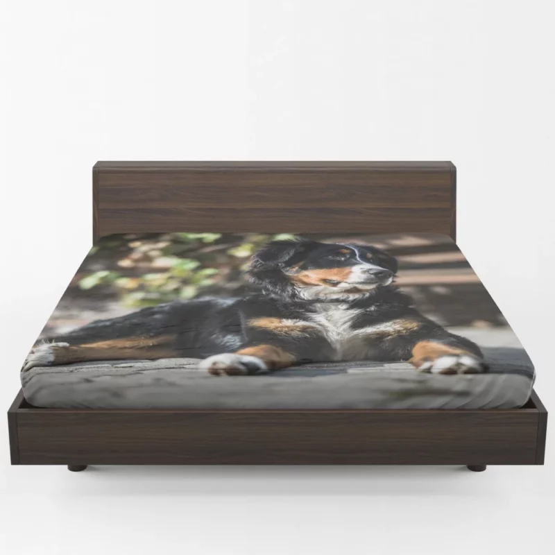 Bernese Mountain Dog Furry Joy Fitted Sheet