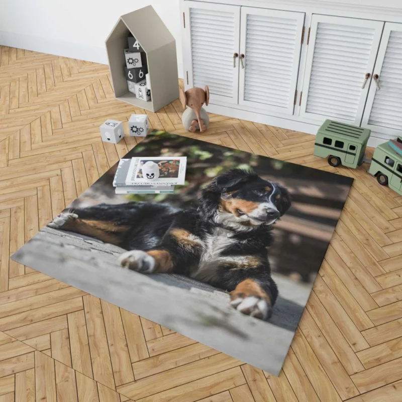 Bernese Mountain Dog Furry Joy Rug 1