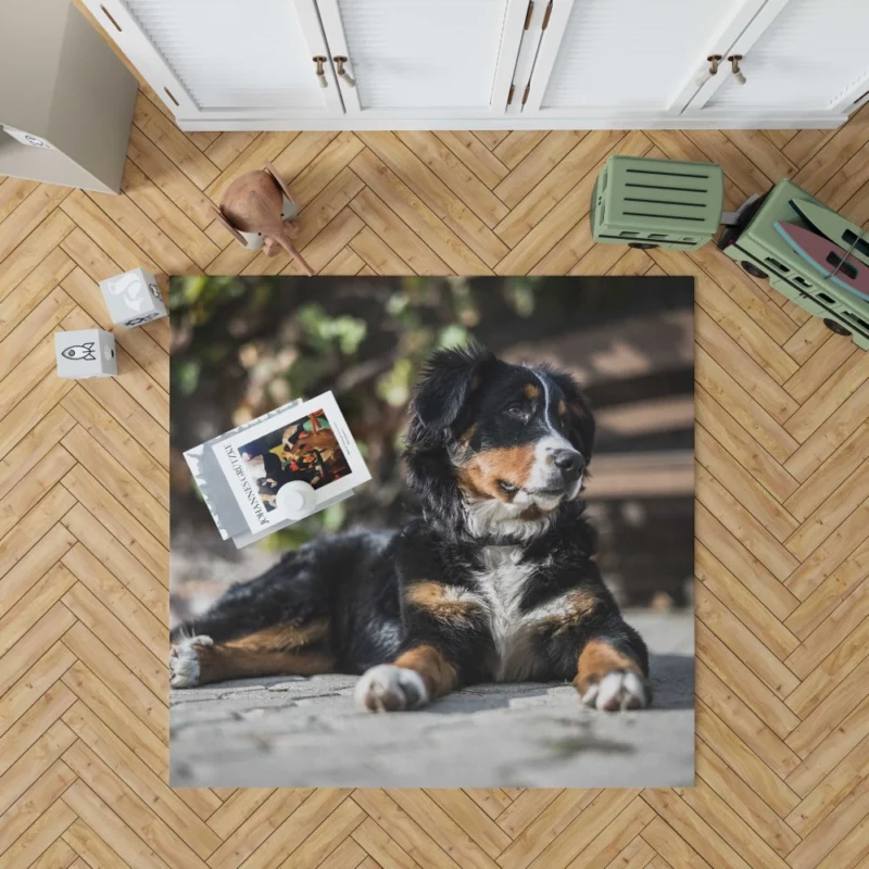 Bernese Mountain Dog Furry Joy Rug