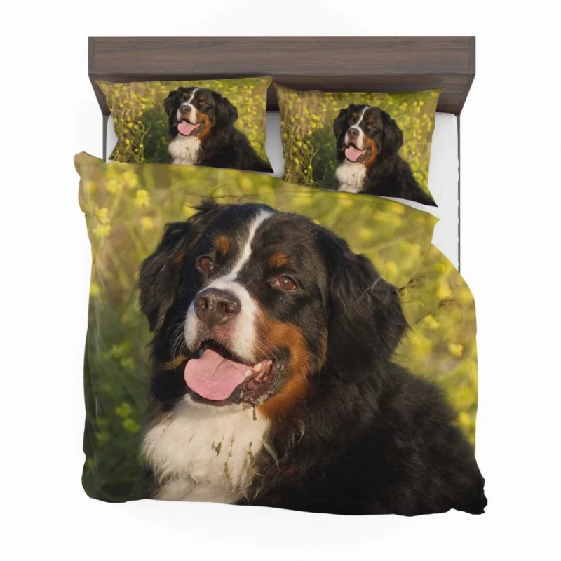 Bernese Mountain Dog Loyal Companion Bedding Set 1