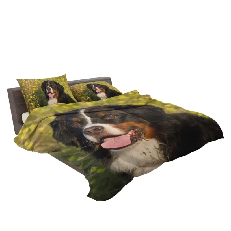 Bernese Mountain Dog Loyal Companion Bedding Set 2