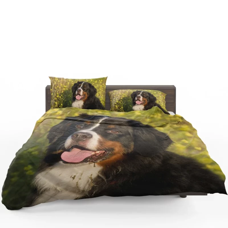 Bernese Mountain Dog Loyal Companion Bedding Set