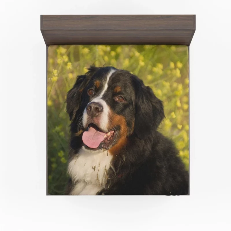 Bernese Mountain Dog Loyal Companion Fitted Sheet 1