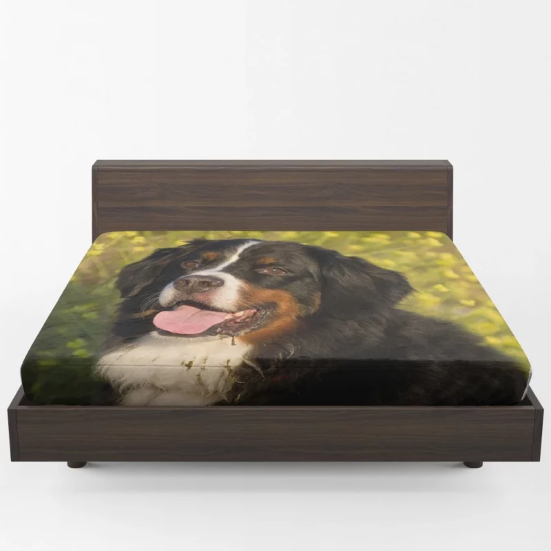 Bernese Mountain Dog Loyal Companion Fitted Sheet