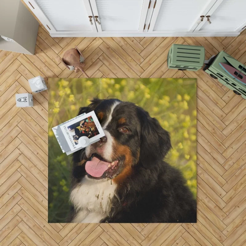 Bernese Mountain Dog Loyal Companion Rug