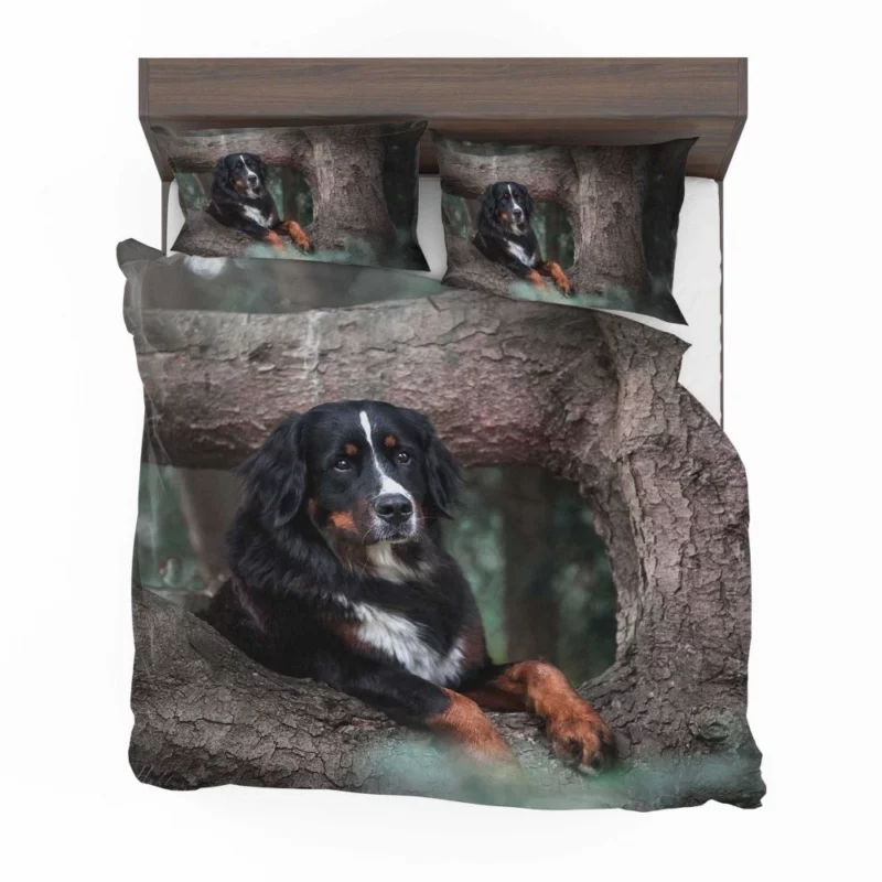 Bernese Mountain Dog Majestic Aura Bedding Set 1