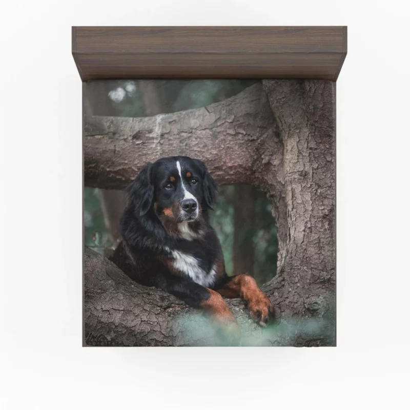 Bernese Mountain Dog Majestic Aura Fitted Sheet 1