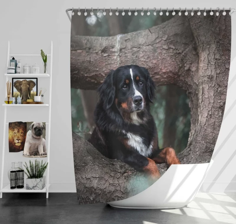 Bernese Mountain Dog Majestic Aura Shower Curtain