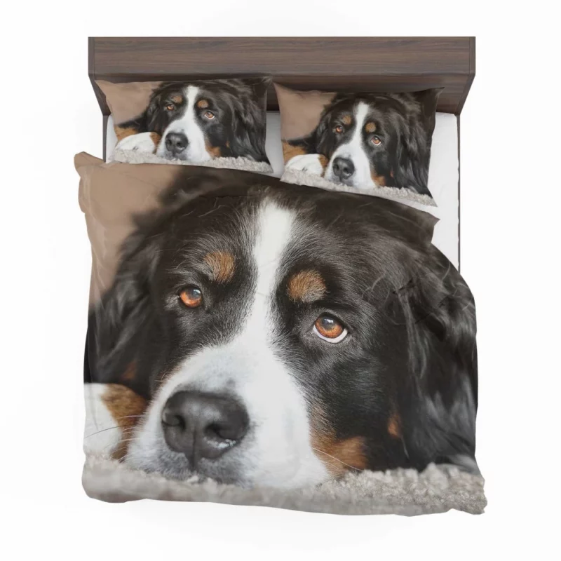 Bernese Mountain Dog Majestic Essence Bedding Set 1