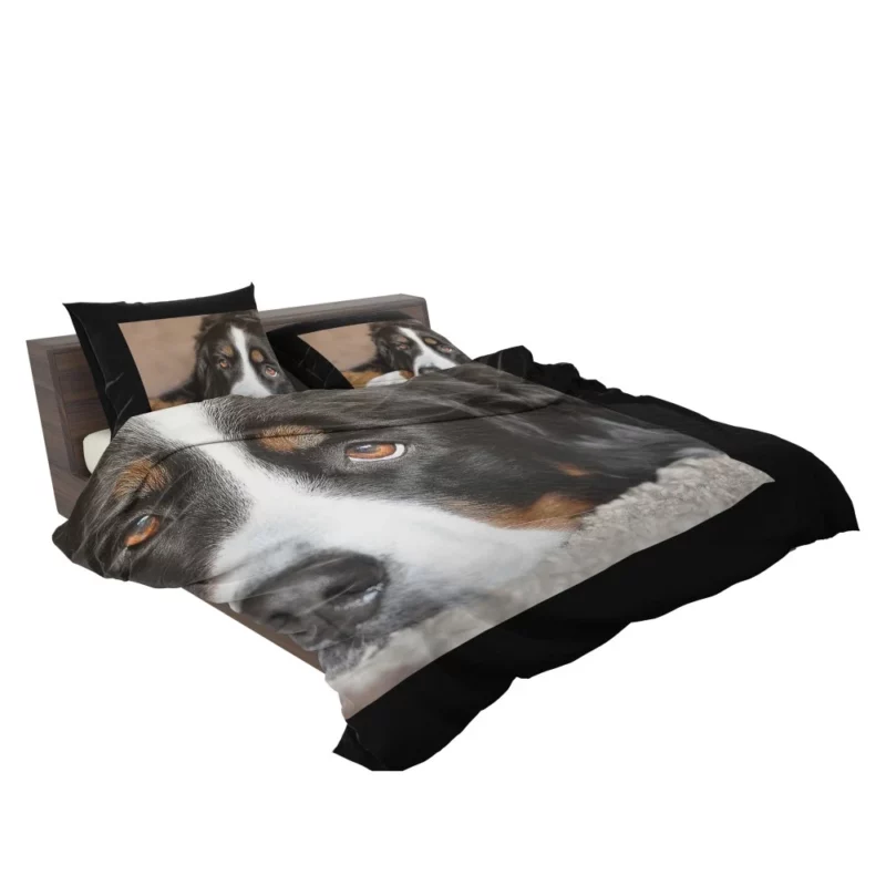 Bernese Mountain Dog Majestic Essence Bedding Set 2