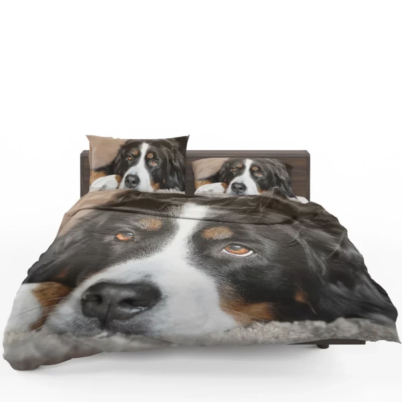 Bernese Mountain Dog Majestic Essence Bedding Set