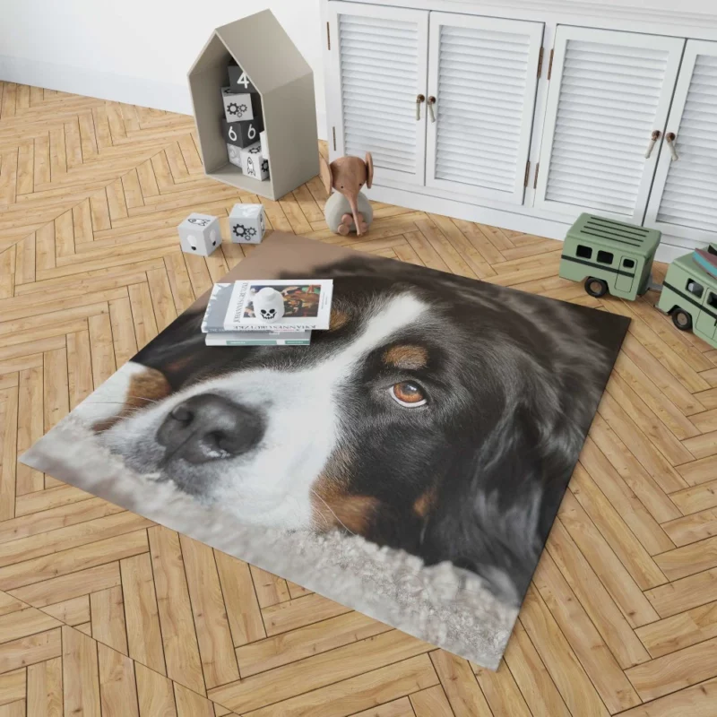 Bernese Mountain Dog Majestic Essence Rug 1