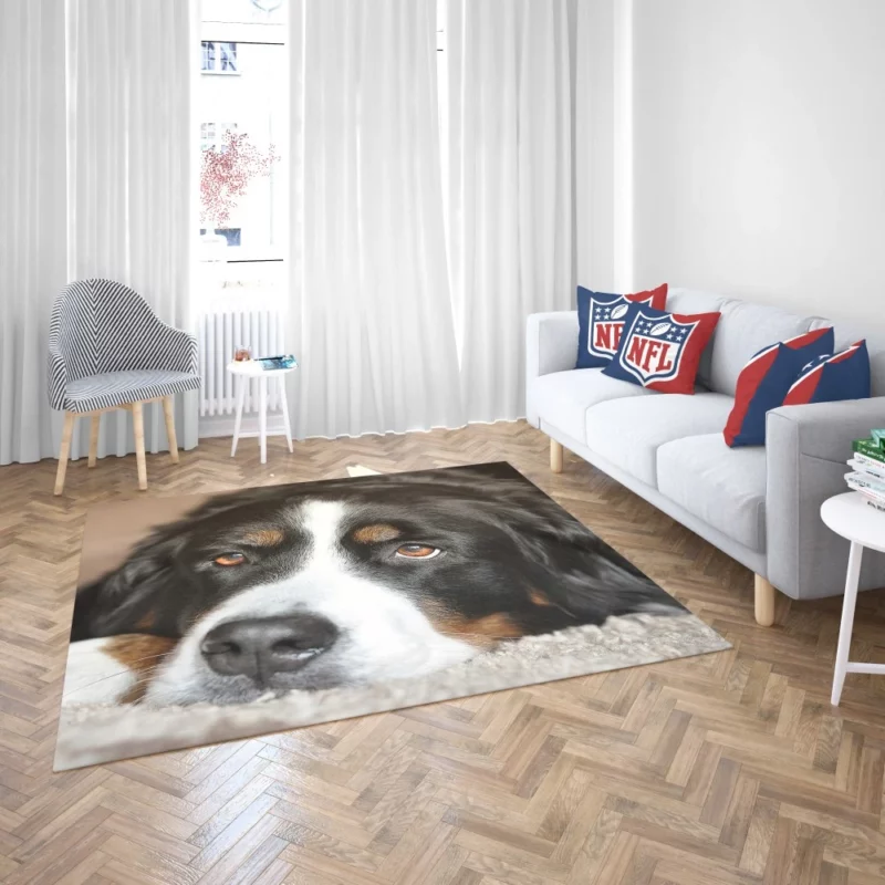 Bernese Mountain Dog Majestic Essence Rug 2