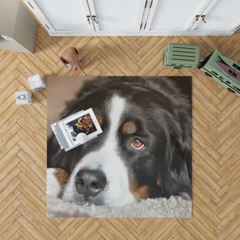 Bernese Mountain Dog Majestic Essence Rug