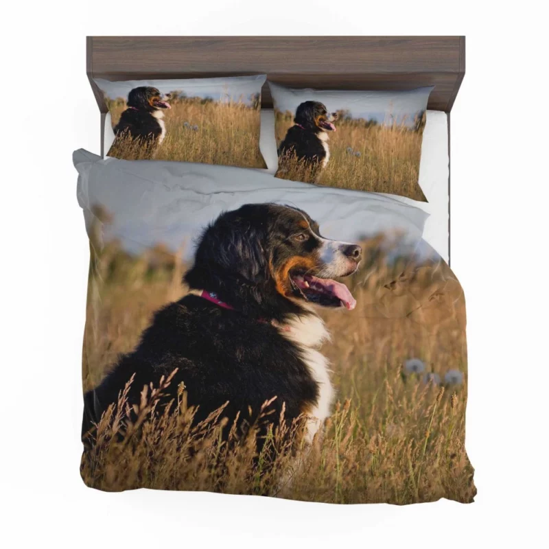 Bernese Mountain Dog Majestic Stance Bedding Set 1