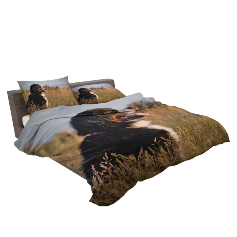 Bernese Mountain Dog Majestic Stance Bedding Set 2